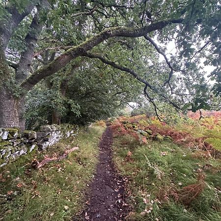 Red Squirrel Cottage Strathtay エクステリア 写真