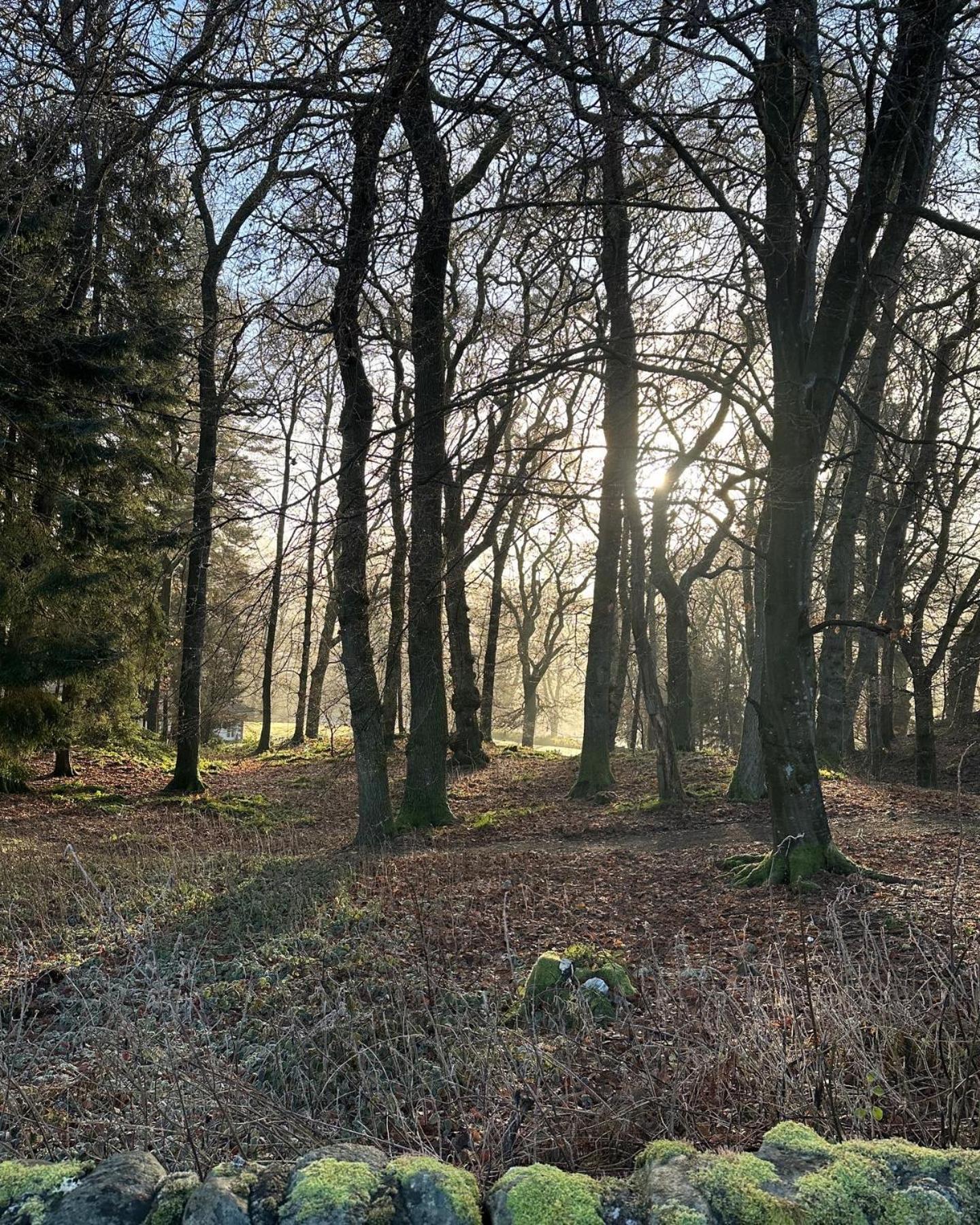 Red Squirrel Cottage Strathtay エクステリア 写真
